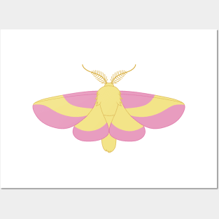 rosy maple moth Posters and Art